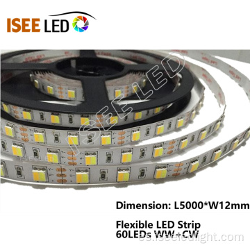 60Leds / m SMD5050 luces de tira flexibles del LED